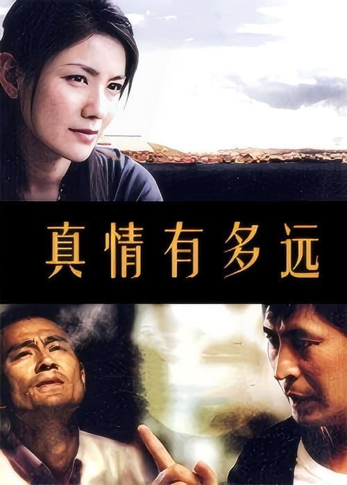 真情有多远 Season 1 poster