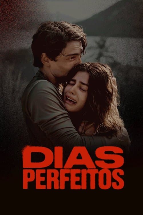 Perfect Days Season 1 poster