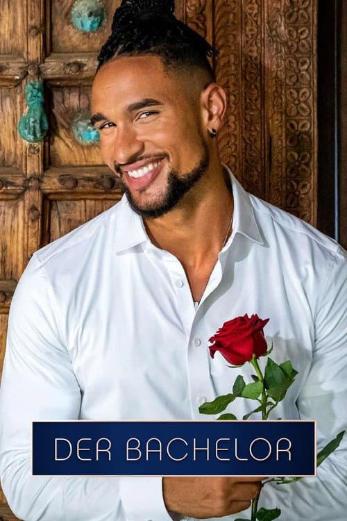 Der Bachelor Season 13 poster
