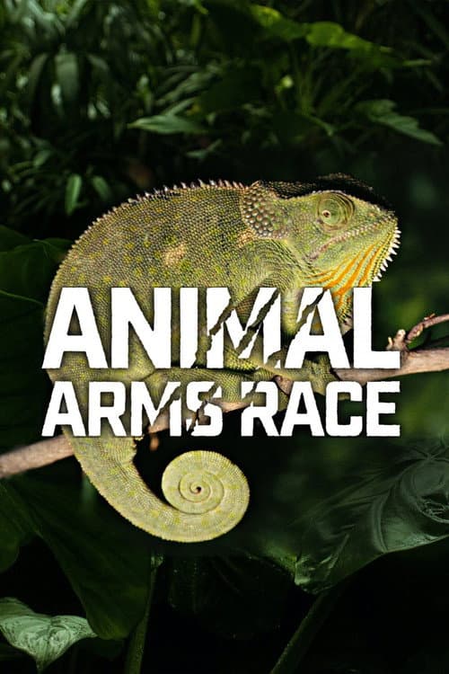 Animal Arms Race Season 1 poster