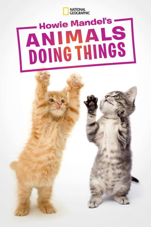 Howie Mandel's Animals Doing Things Season 2 poster