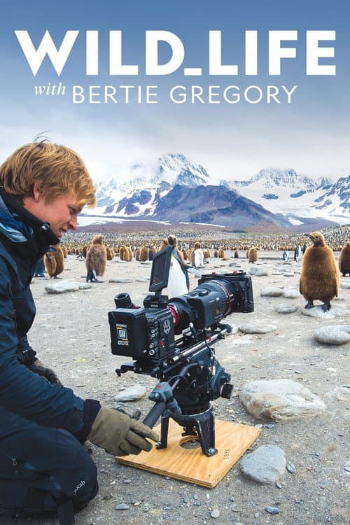 Wild Life with Bertie Gregory Season 3 poster