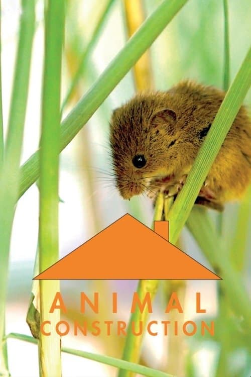 Animal Construction Season 1 poster