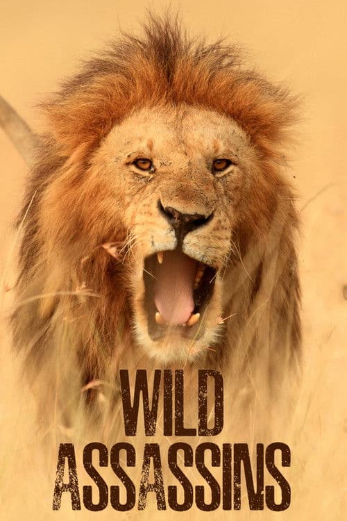 Wild Assassins Season 1 poster