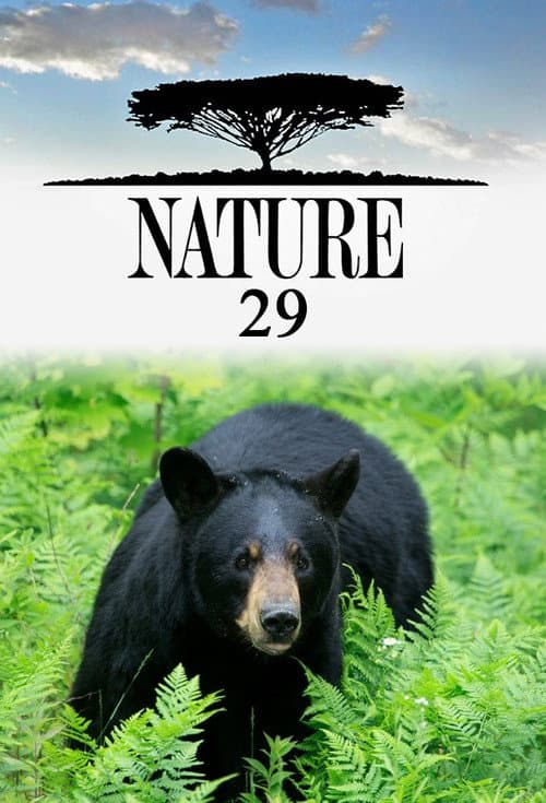 Nature Season 29 poster