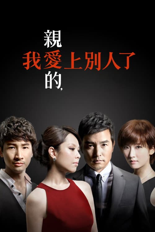A Good Wife Season 1 poster