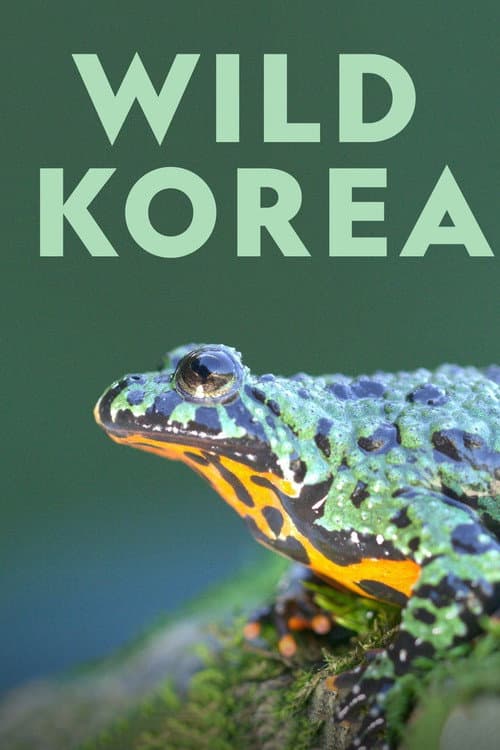 Wild Korea Season 1 poster