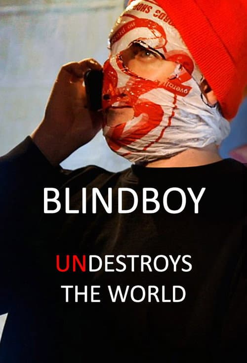 Blindboy Undestroys the World Season 1 poster