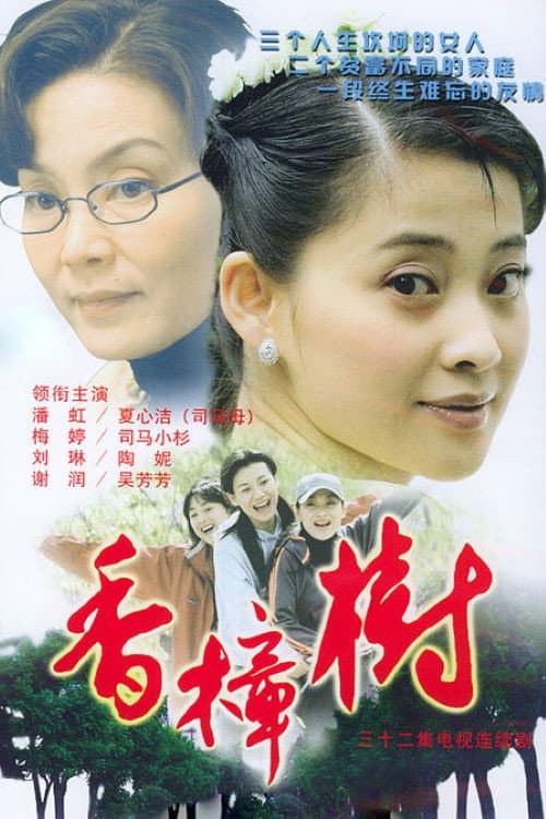 香樟树 Season 1 poster
