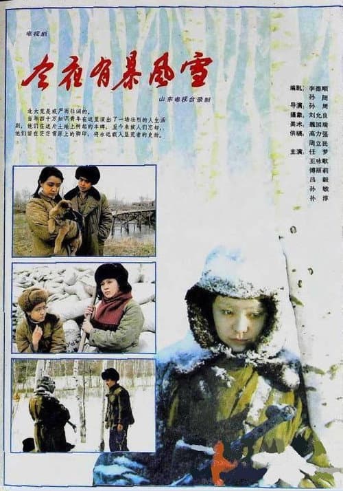 今夜有暴风雪 Season 1 poster