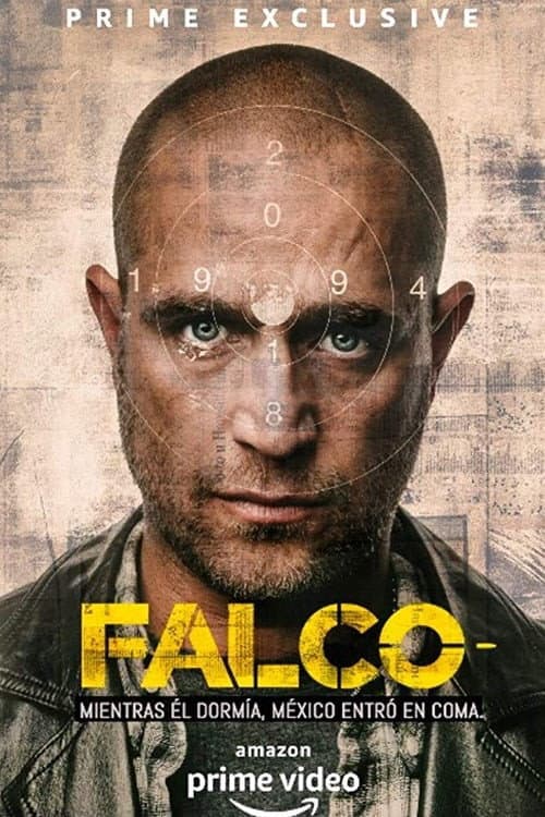 Falco Season 1 poster