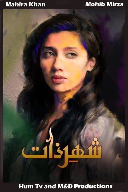 Shehr-e-Zaat Season 1 poster