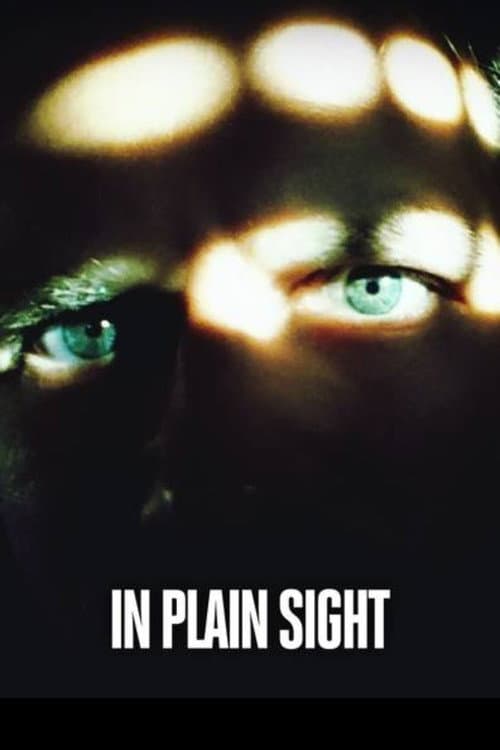 Killer in Plain Sight Season 2 poster