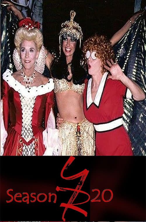 The Young and the Restless Season 20 poster