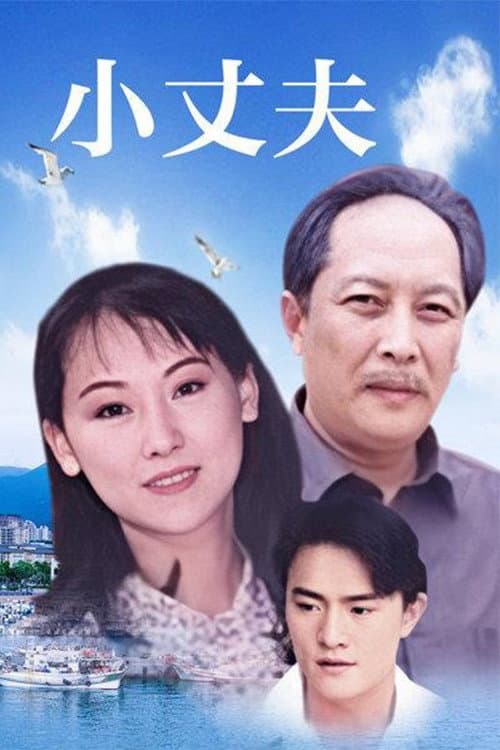 小丈夫 妻大姐 Season 1 poster