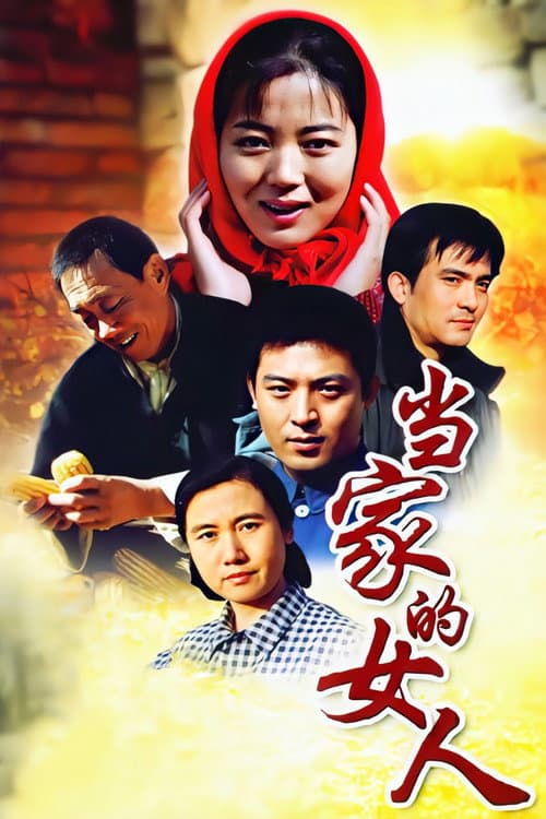 当家的女人 Season 1 poster