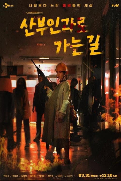 산부인과로 가는길 Season 1 poster