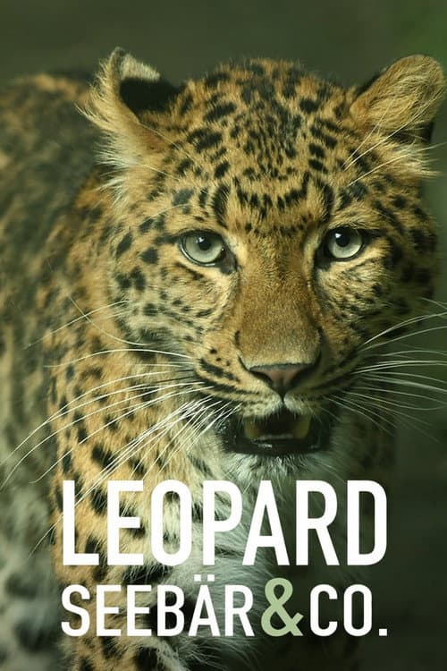 Leopard, Seebär & Co. Season 3 poster