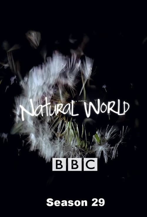 Natural World Season 29 poster