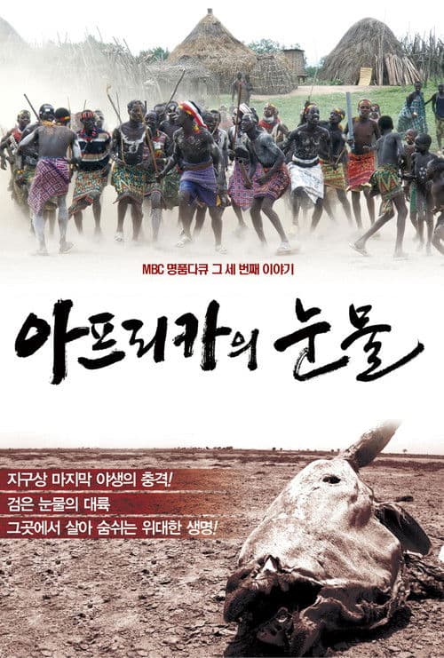 아프리카의 눈물 Season 1 poster