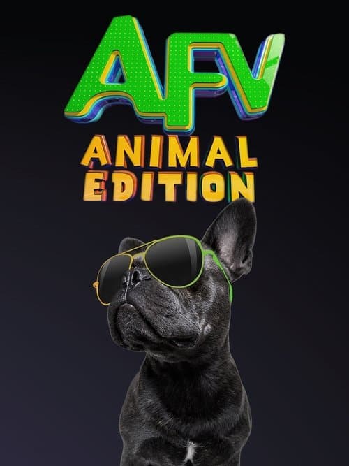 America's Funniest Home Videos: Animal Edition Season 2 poster