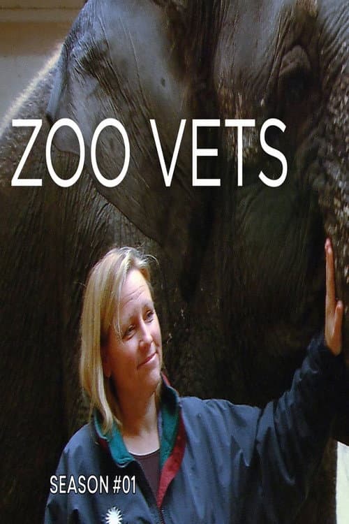Zoo Vets Season 1 poster
