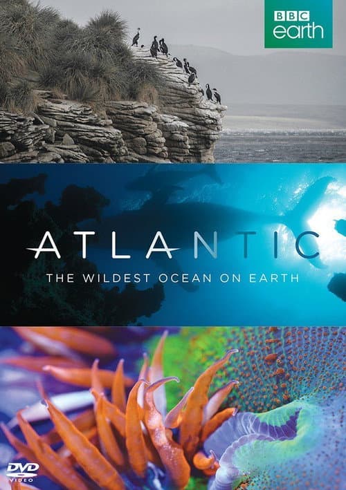 Atlantic: The Wildest Ocean on Earth Season 1 poster