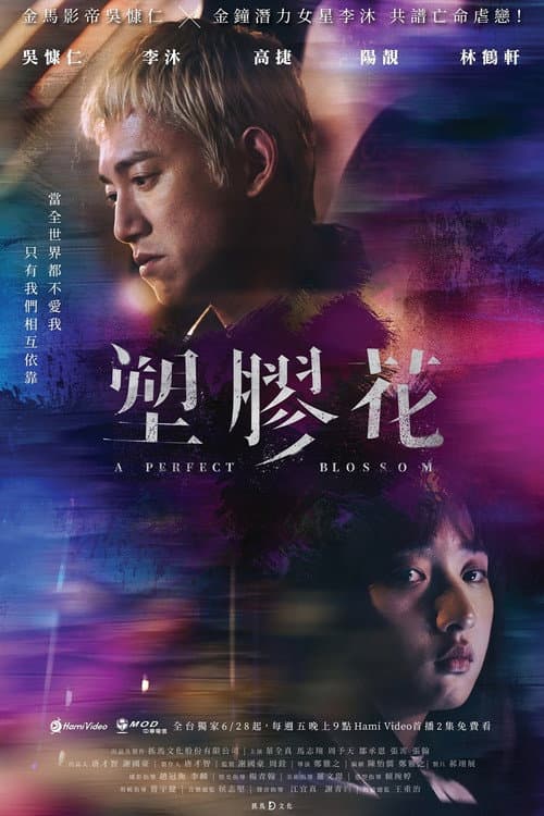 A Perfect Blossom Season 1 poster