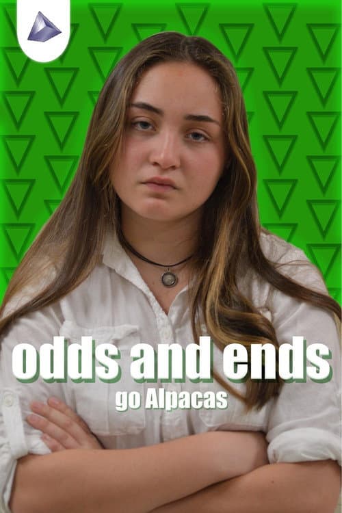 Odds & Ends Season 1 poster