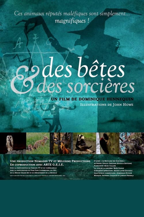 Des bêtes et des sorcières Season 1 poster