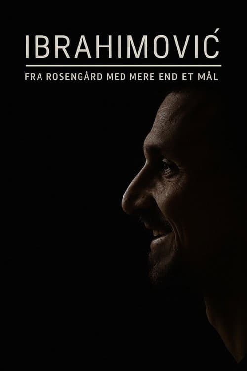 Ibrahimovic - Från Rosengård med mer än ett mål Season 1 poster