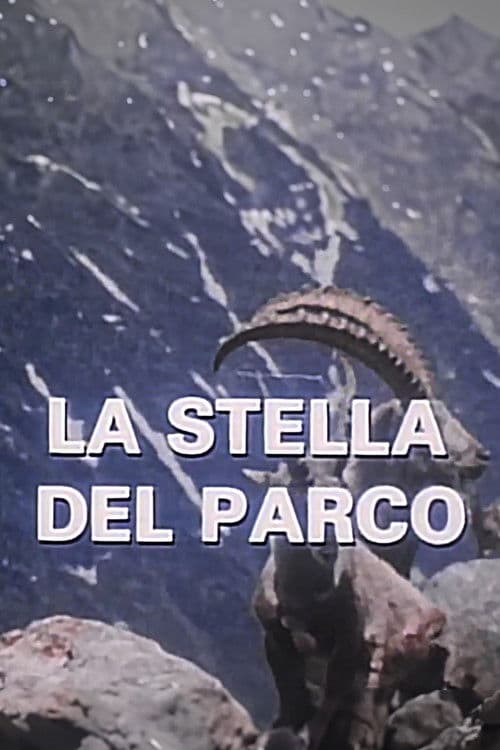 La Stella Del Parco Season 1 poster