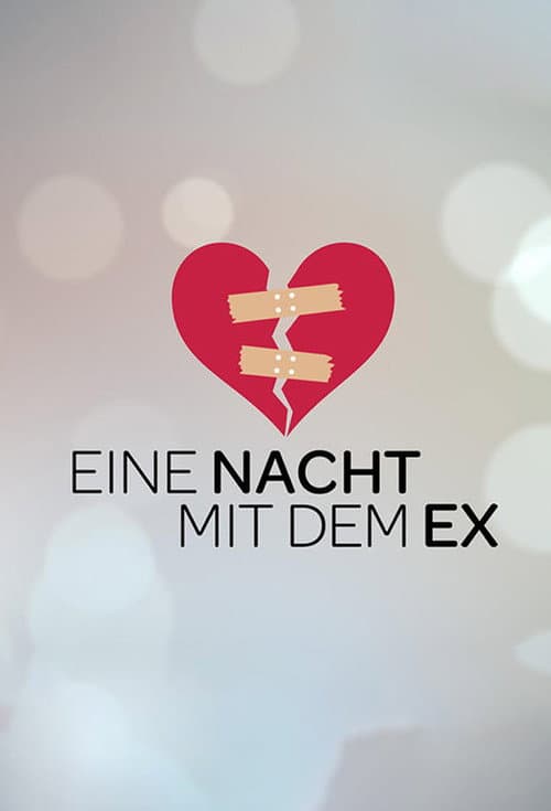 Eine Nacht mit dem Ex Season 1 poster