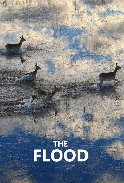 The Flood Season 1 poster