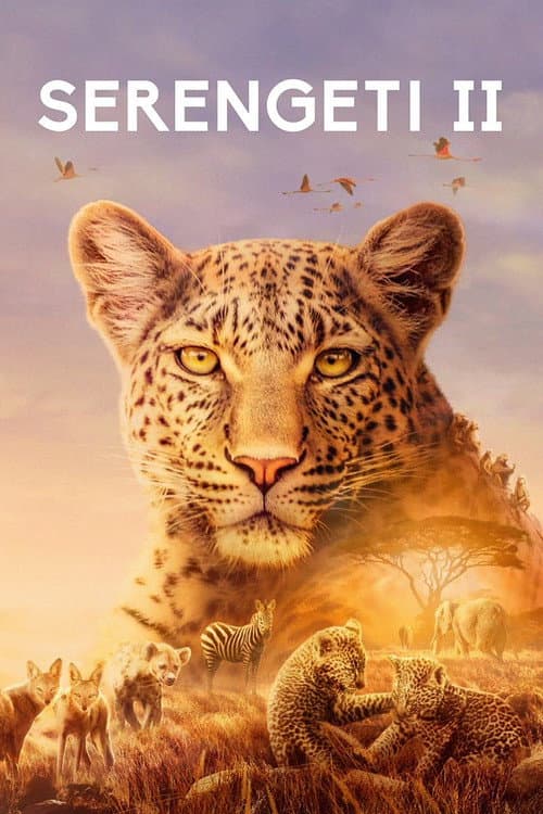 Serengeti Season 2 poster