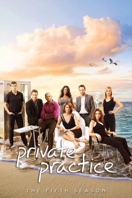 Private Practice Season 5 poster