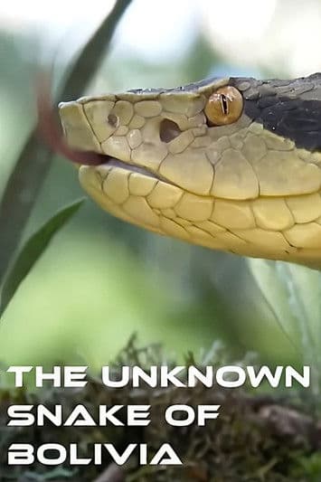 The Unknown Snake of Bolivia Season 1 poster