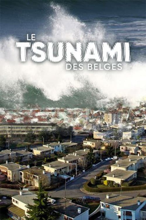 Le Tsunami des belges Season 1 poster