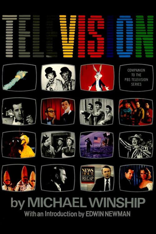 Television Season 1 poster