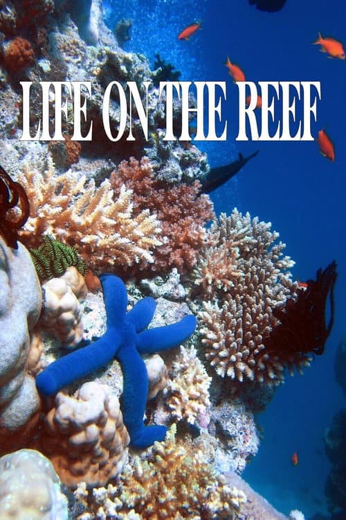 Life on the Reef Season 1 poster