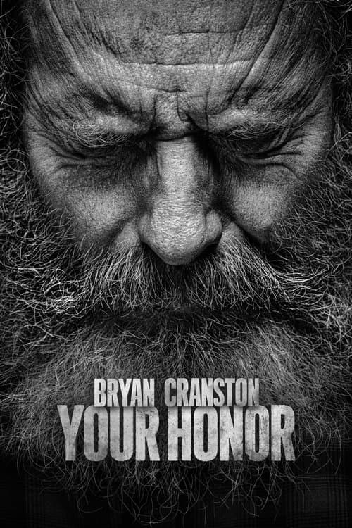 Your Honor Season 2 poster