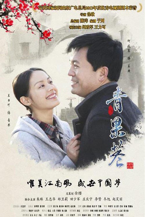青果巷 Season 1 poster