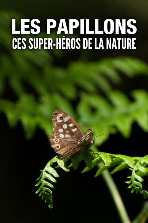 Les Papillons, ces super-héros de la nature Season 1 poster