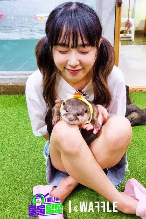 Animal Detective Yena Season 1 poster