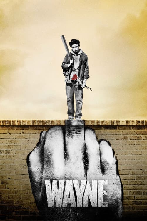 Wayne Season 1 poster
