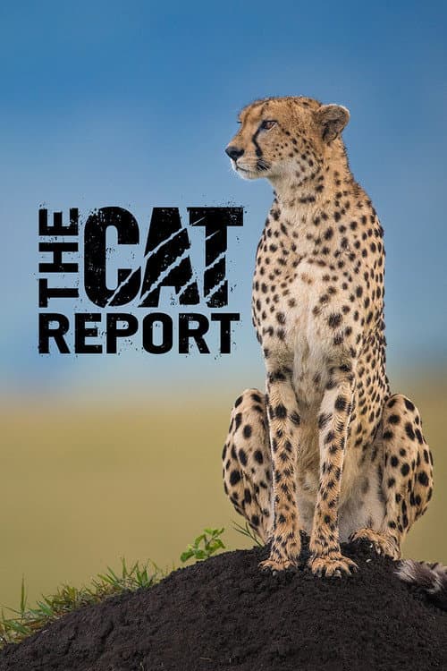 The Cat Report Season 1 poster