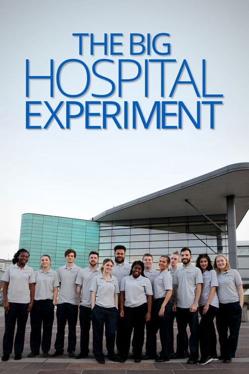 The Big Hospital Experiment Season 1 poster