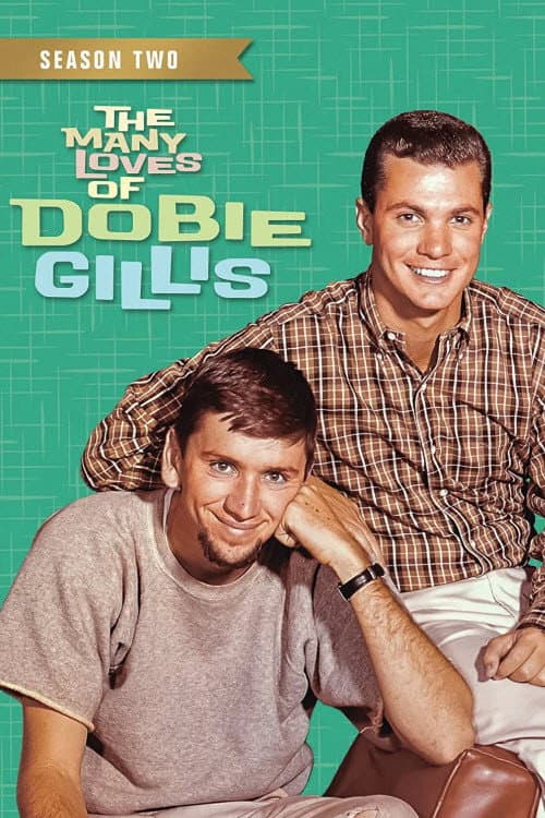 The Many Loves of Dobie Gillis Season 2 poster