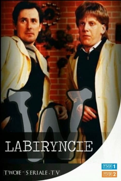 W labiryncie Season 2 poster