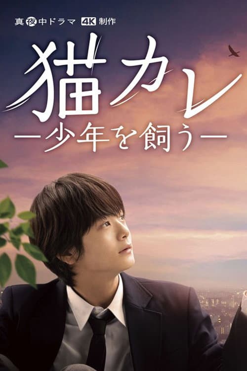 Taking in a Stray Season 1 poster